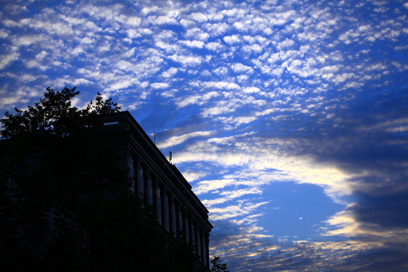 img_1523.jpg