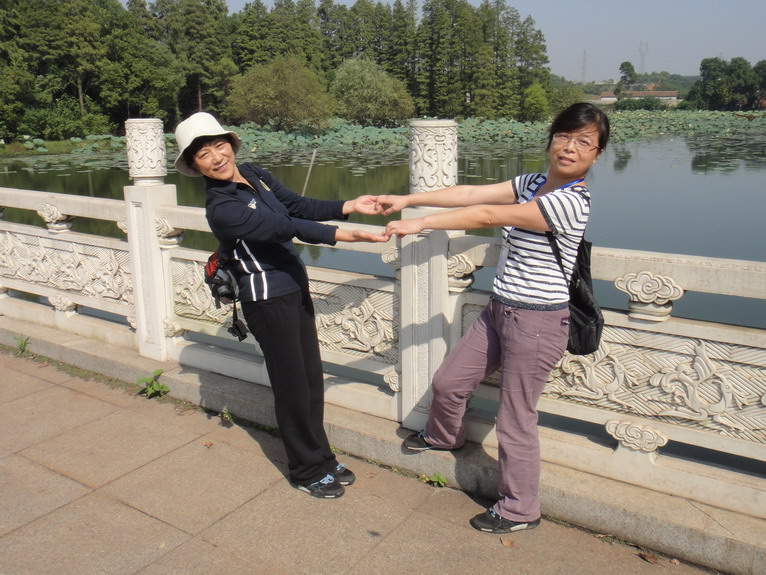 dsc04672.jpg