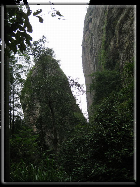 img_4428.jpg