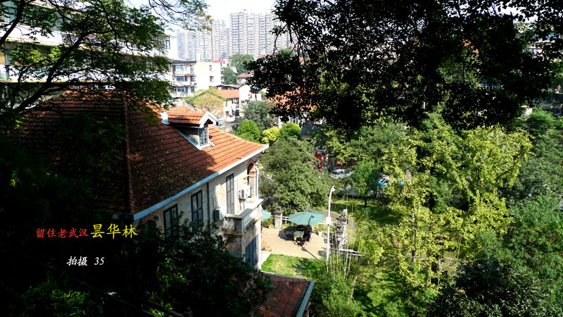 p1050752.jpg