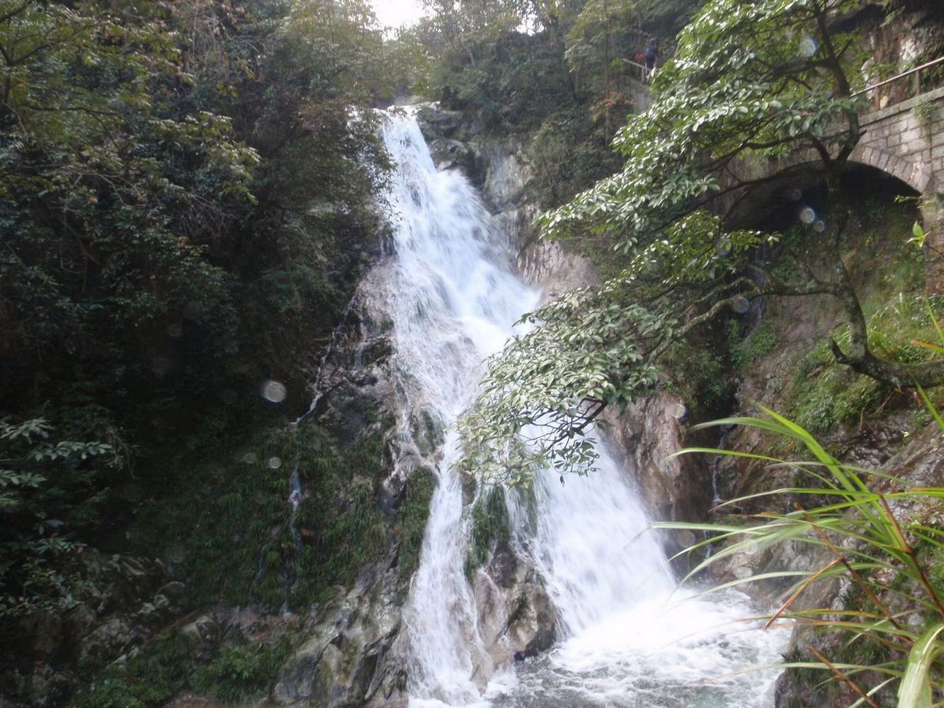 pa160524.jpg