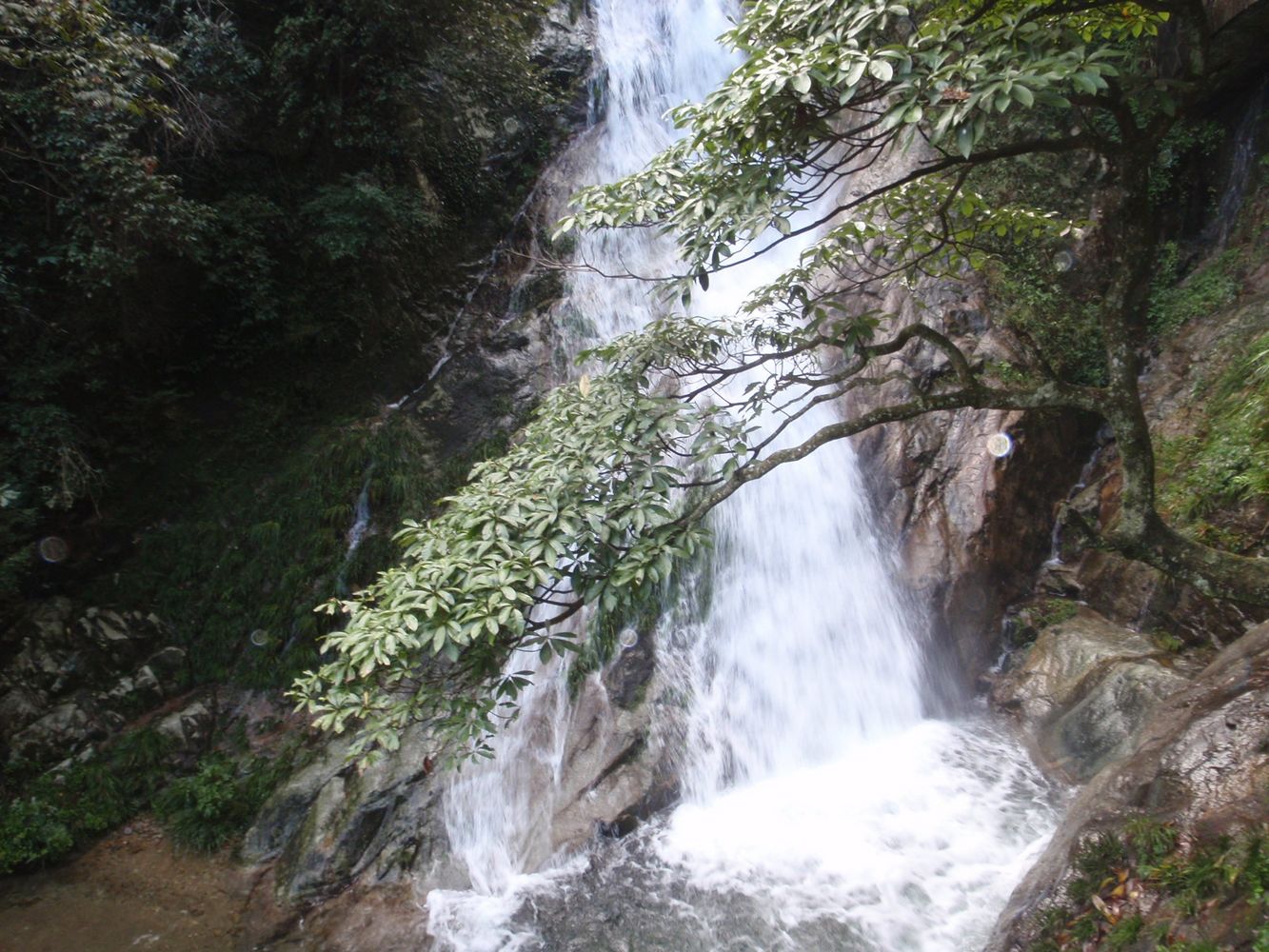 pa160525.jpg