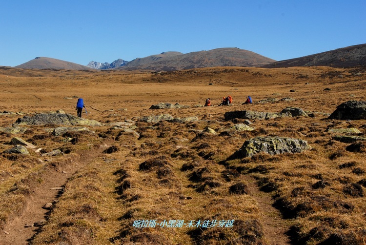 dsc_0296.jpg