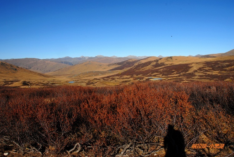dsc_0377.jpg