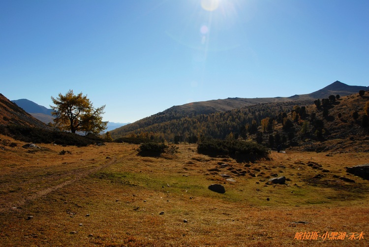 dsc_0444.jpg