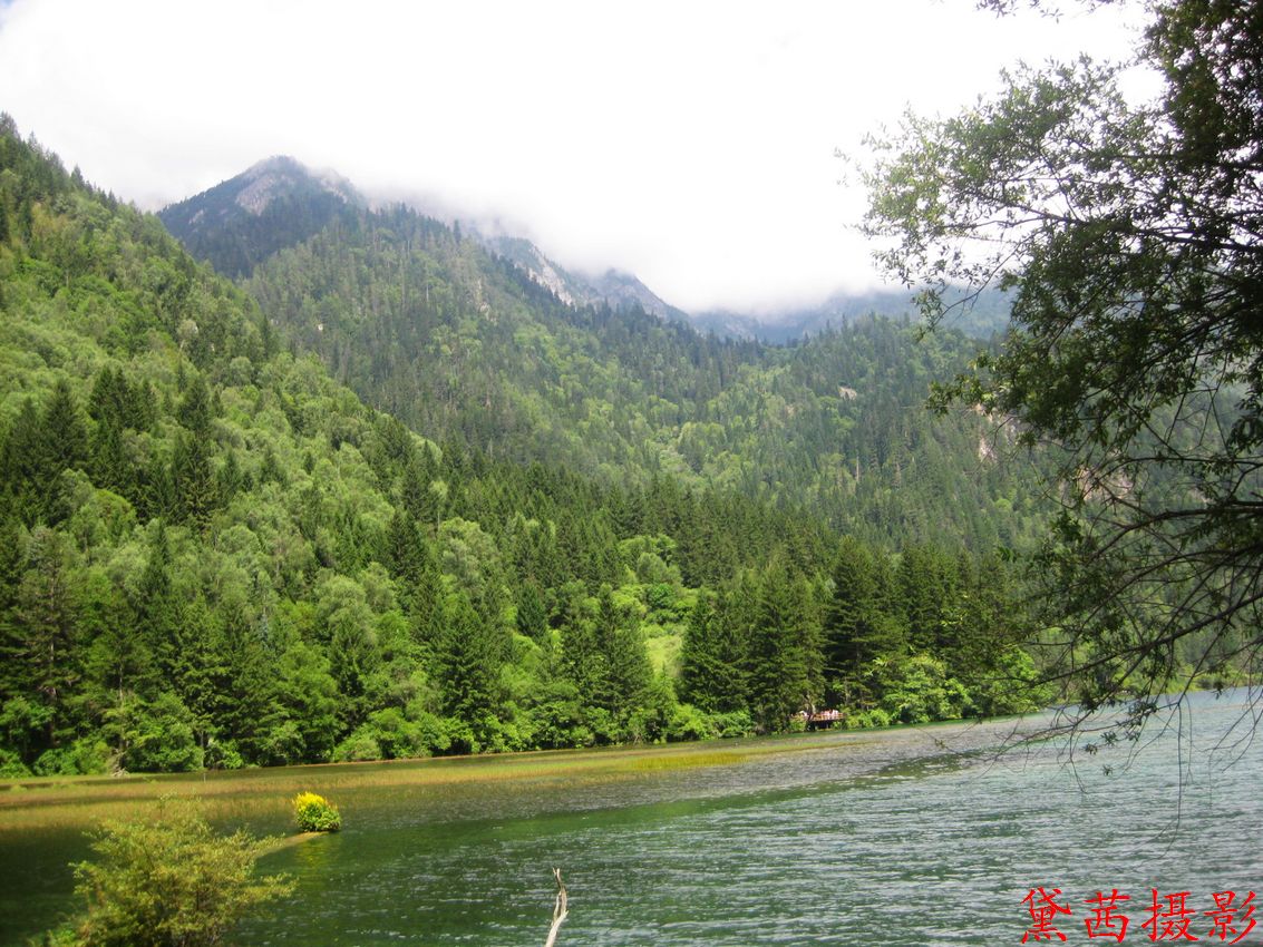 img_1325.jpg(1).jpg