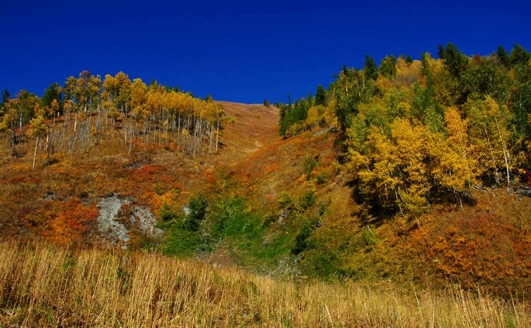 dsc_0604.jpg