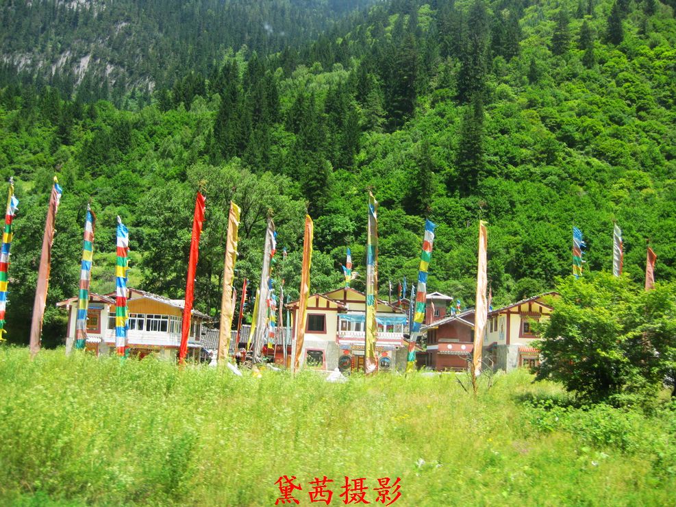 img_1376.jpg