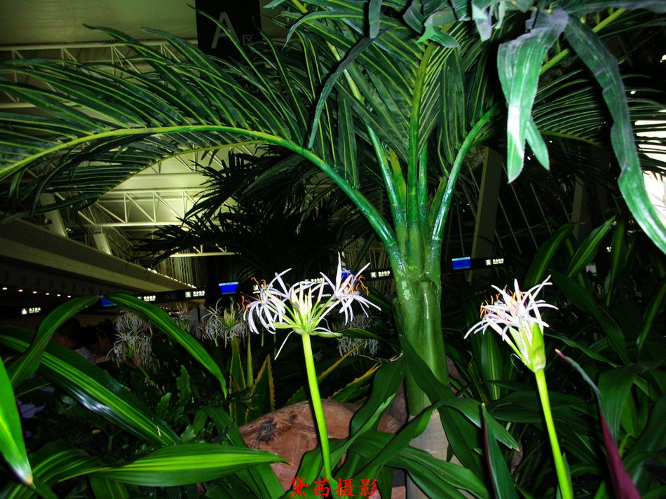 2010862023人4.jpg