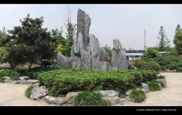 conew_Ƭ 115.jpg