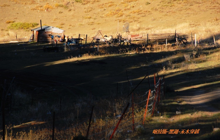 dsc_0010.jpg