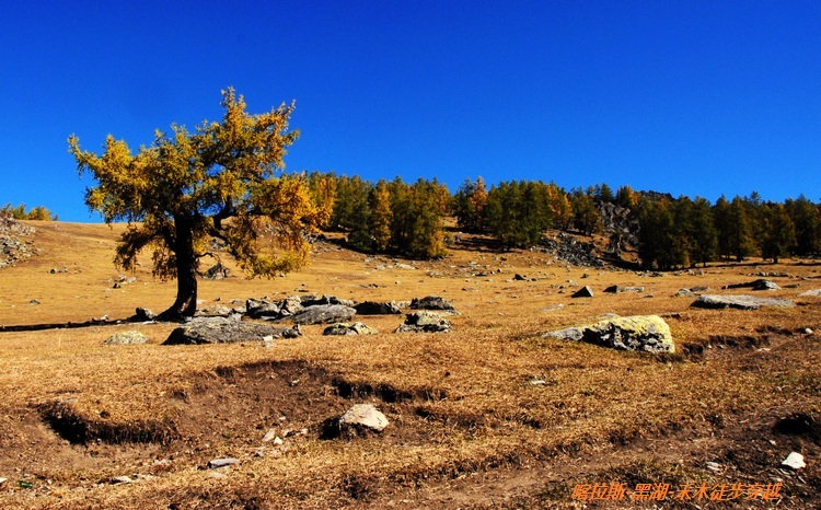 dsc_0166.jpg