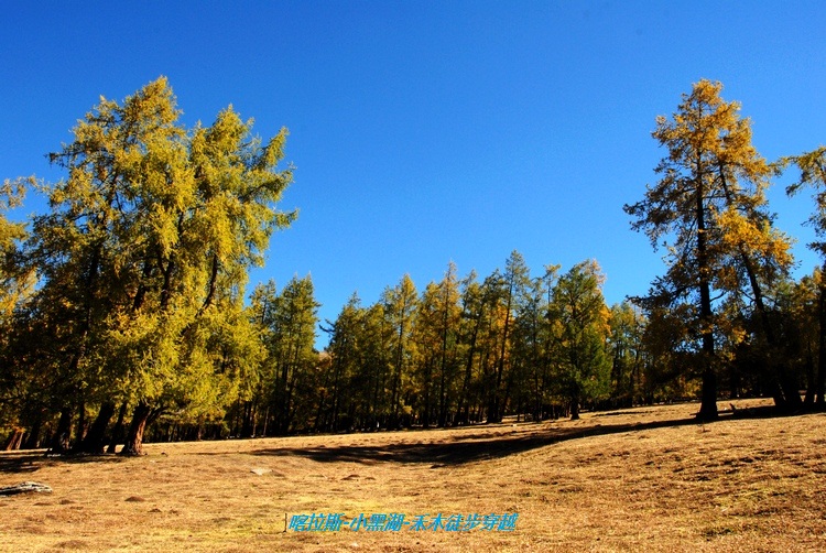 dsc_0177.jpg