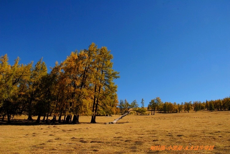 dsc_0190.jpg