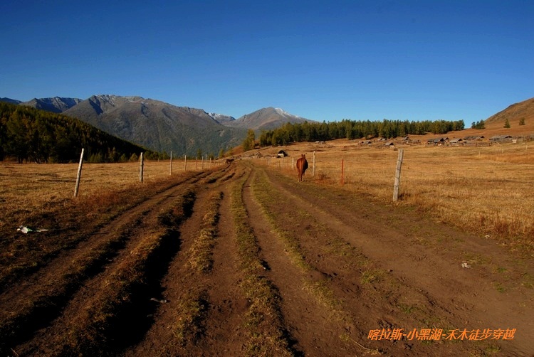 dsc_0060.jpg