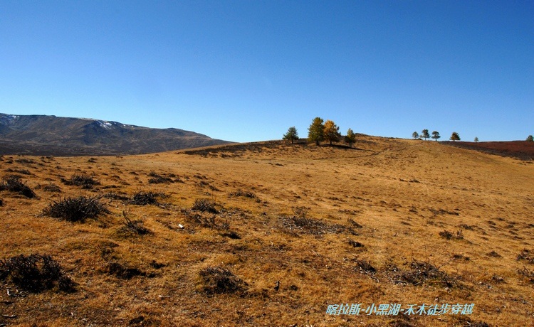 dsc_0223.jpg