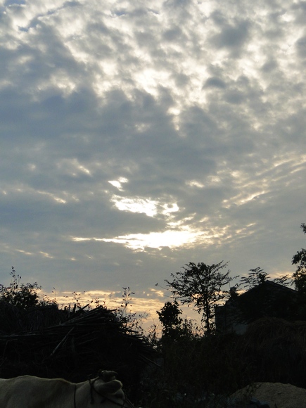 dsc04971.jpg