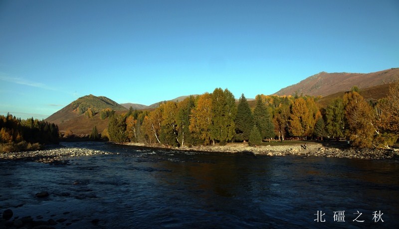 img_1733_.jpg