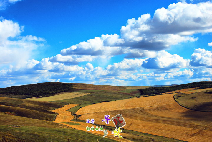 130.jpg