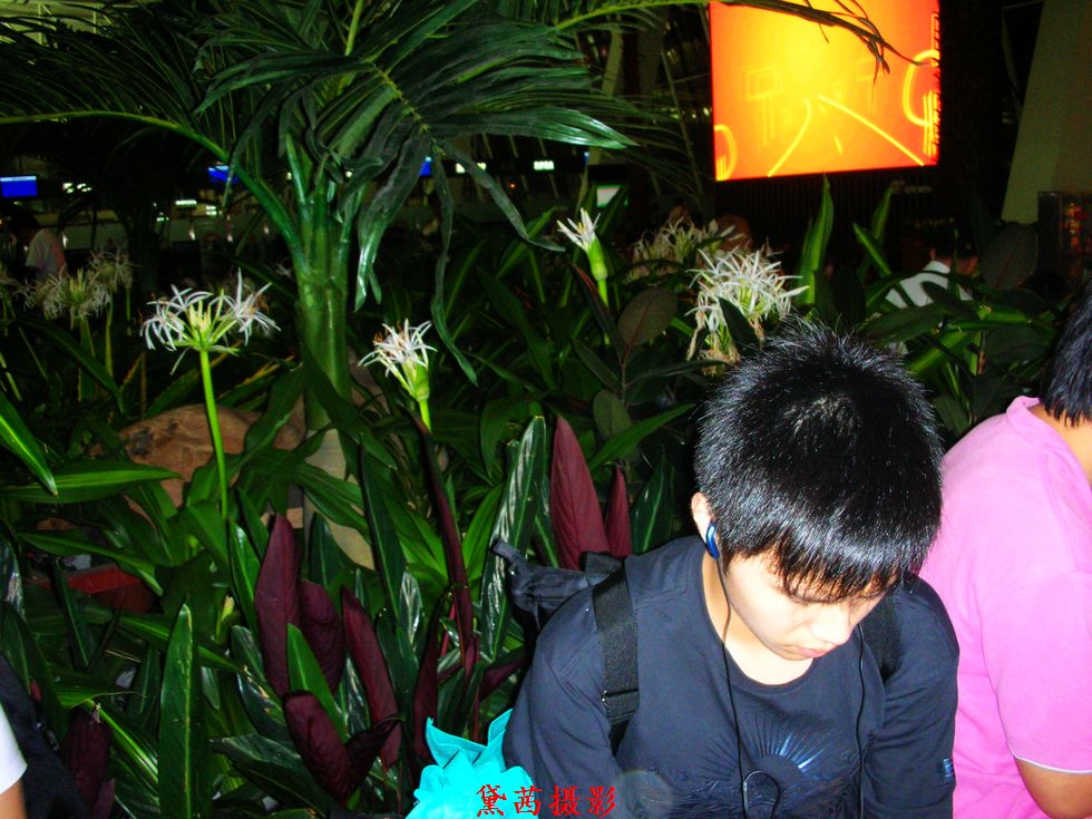 dscn1489.jpg