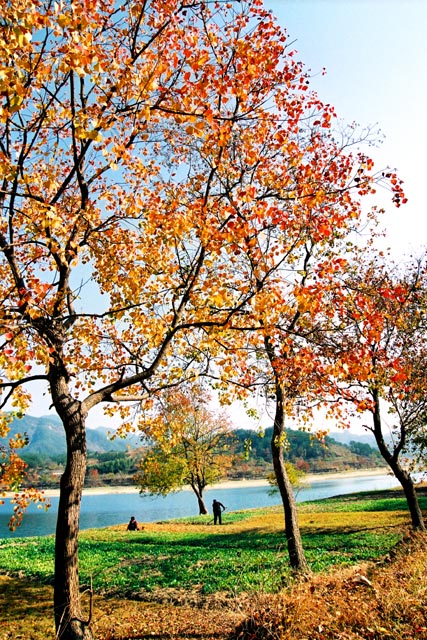 ʺӺҶ19.jpg