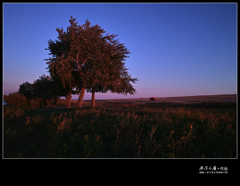 sdim0092.jpg