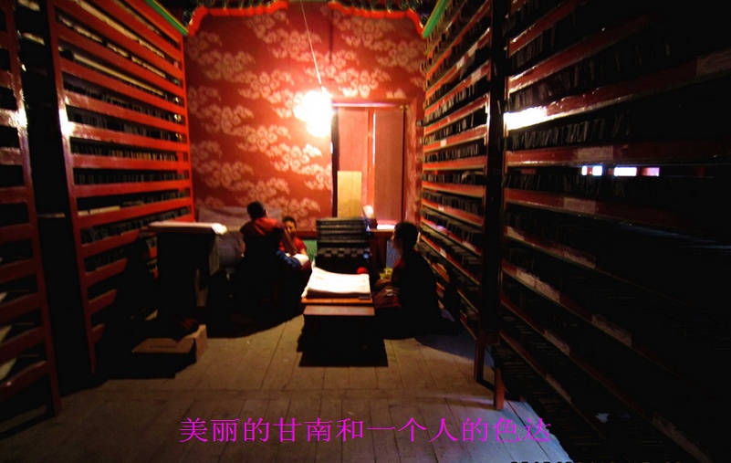 neo_img_img_0085.jpg