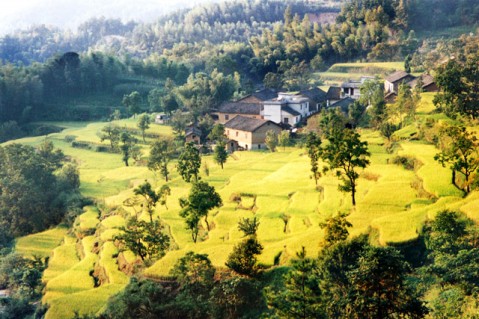 ʺӺҶ8.jpg