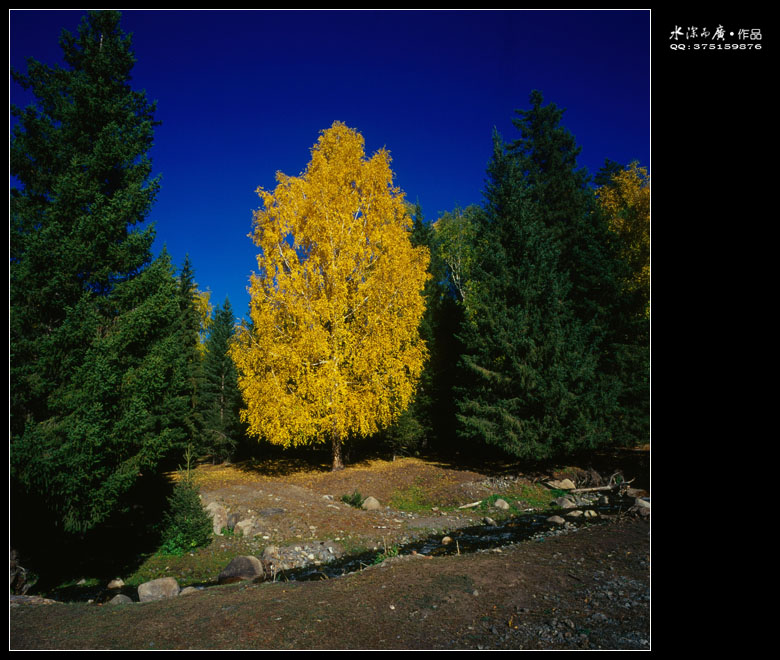 scan-101015-0004.jpg