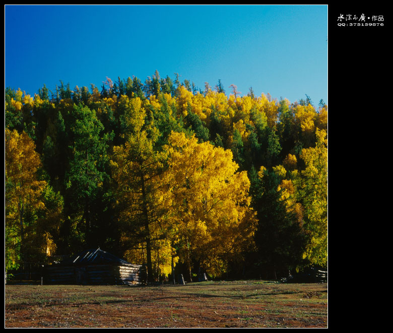scan-101015-0010.jpg