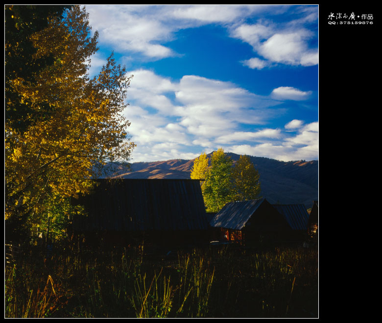 scan-101015-0012.jpg