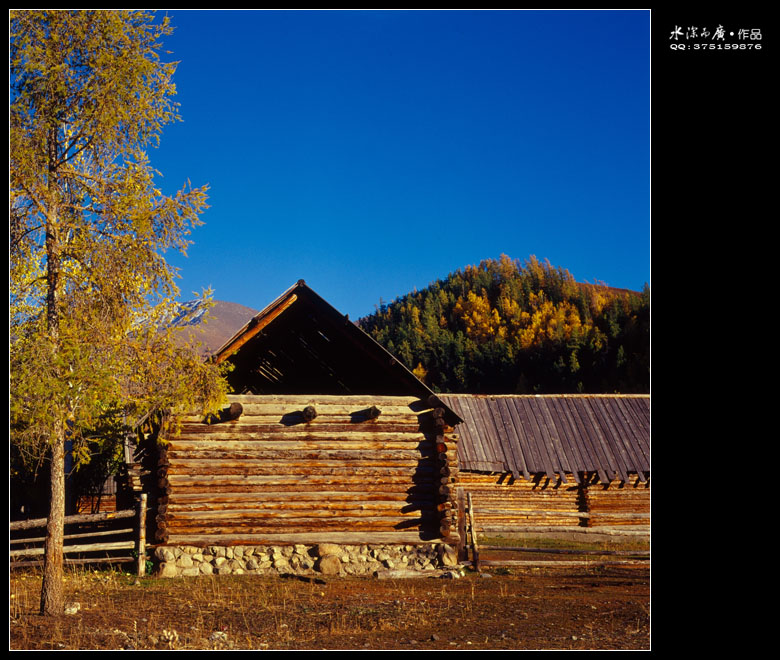 scan-101015-0016.jpg
