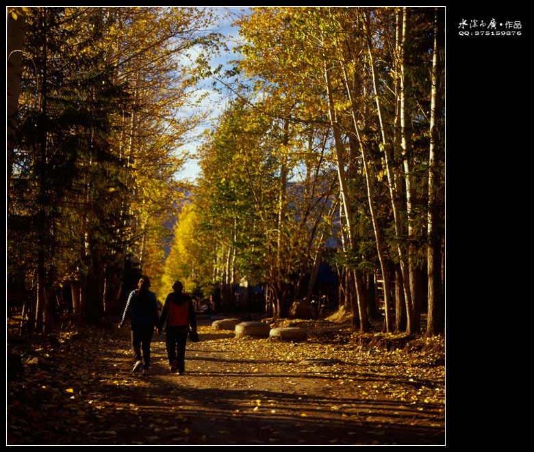 scan-101015-0011.jpg