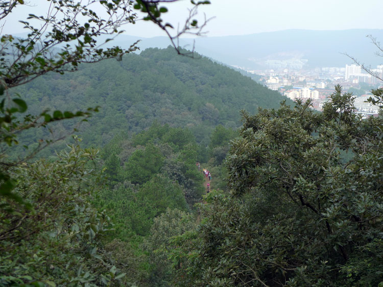p1000706 .jpg