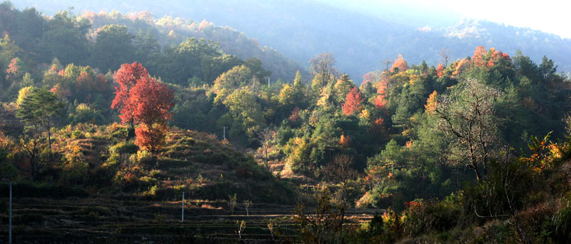 ʺӺҶ40.jpg