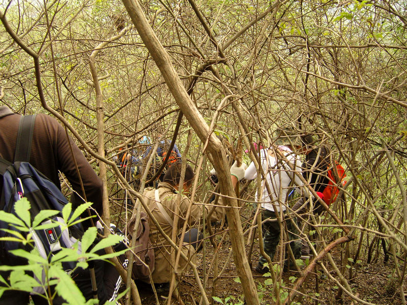  snc10032.jpg