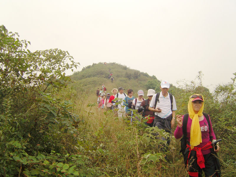  snc10024.jpg