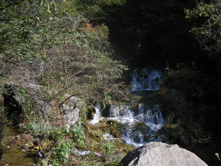 dscf1178.jpg