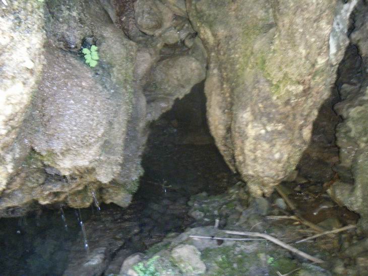 dscf1182.jpg