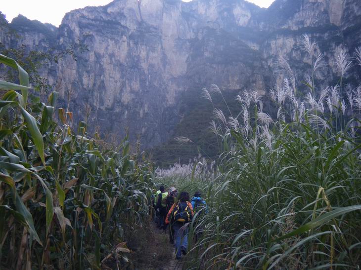 dscf1220.jpg