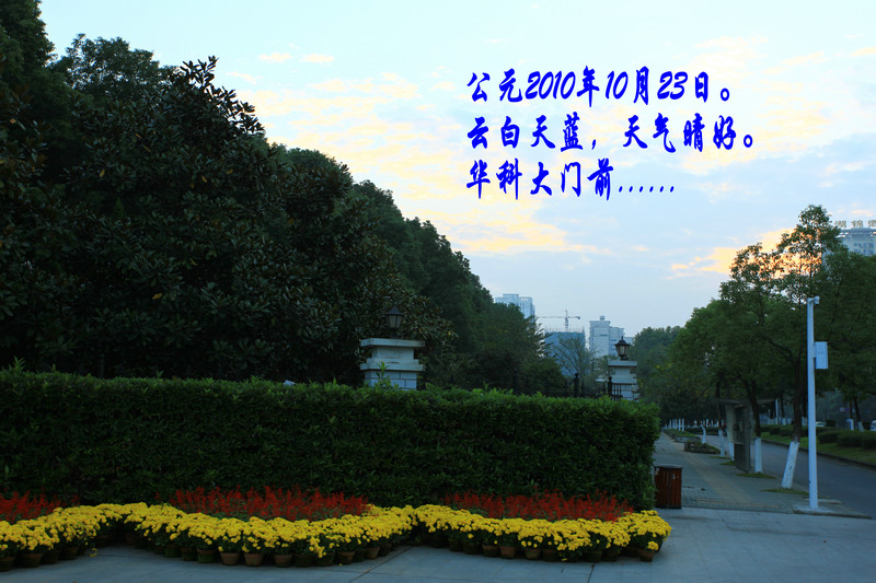 img_2800.jpg