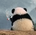 07.gif
