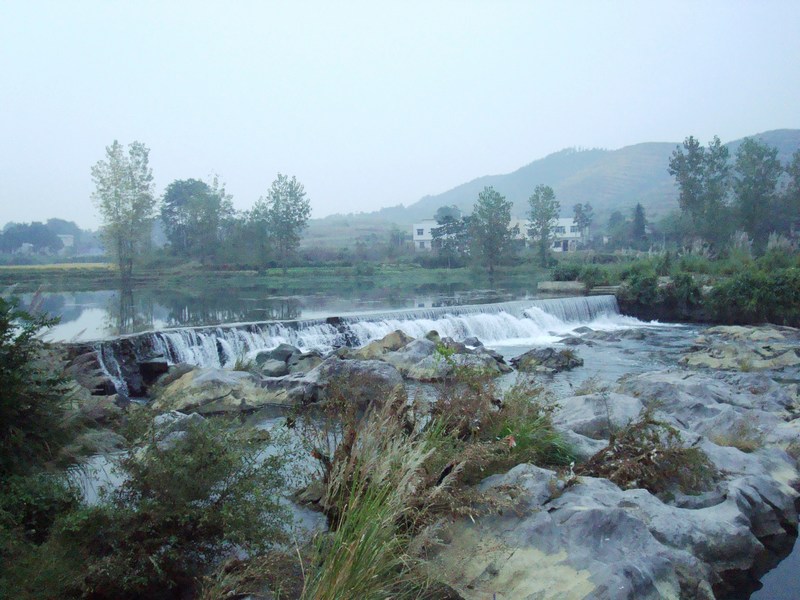 neo_img_dsc03630.jpg