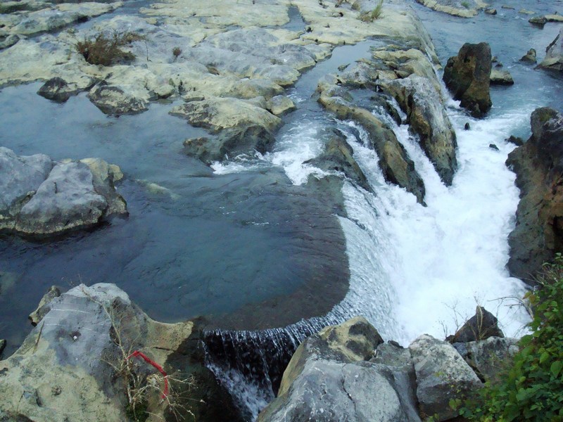 neo_img_dsc03633.jpg