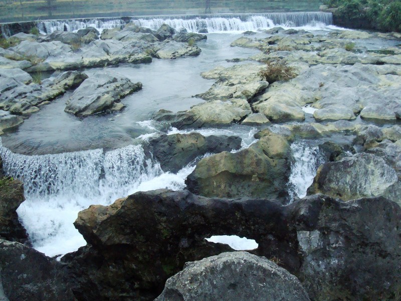 neo_img_dsc03637.jpg