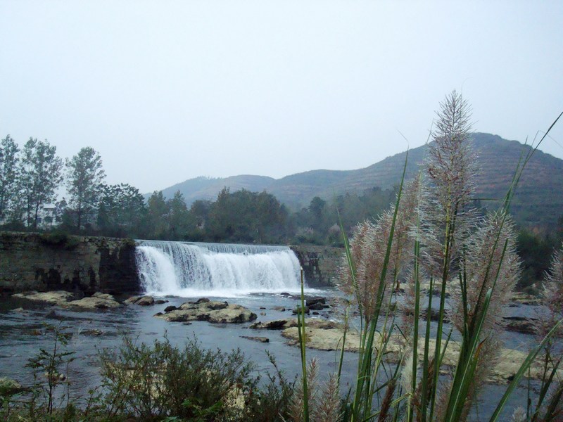 neo_img_dsc03646.jpg