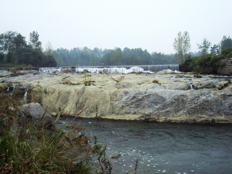 neo_img_dsc03663.jpg