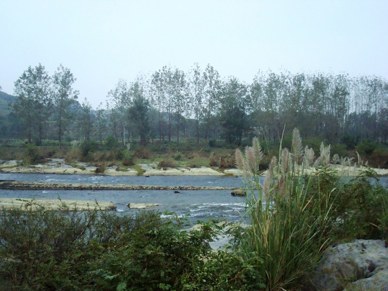 neo_img_dsc03644.jpg