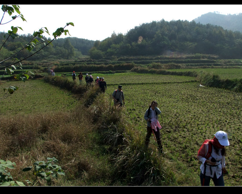 Ƭ 016.jpg