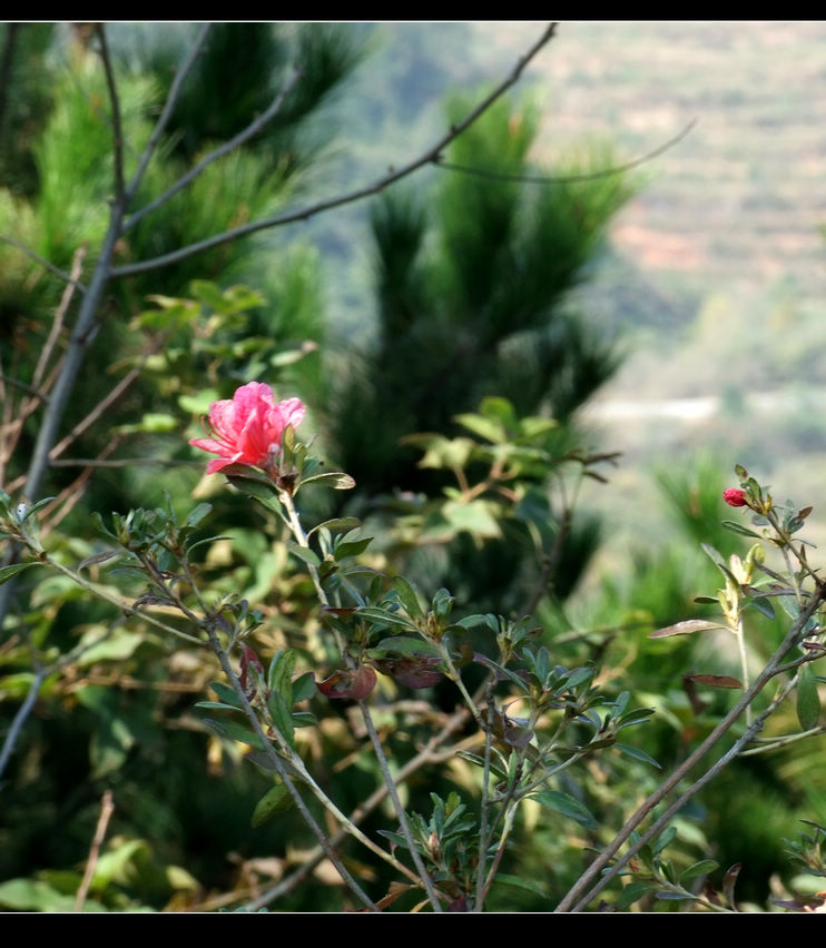 Ƭ 029.jpg